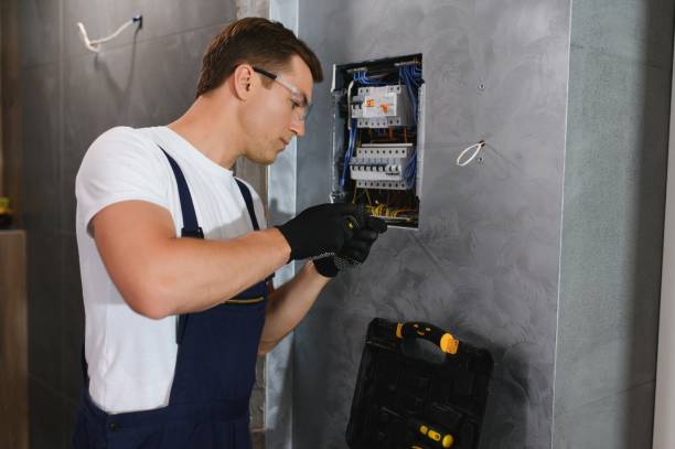 Best Electric Panel Repair  in Poplar Grove, IL