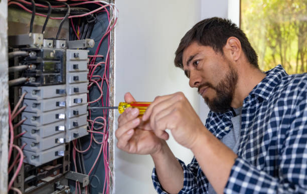 Best Electrician for Home Renovation  in Poplar Grove, IL